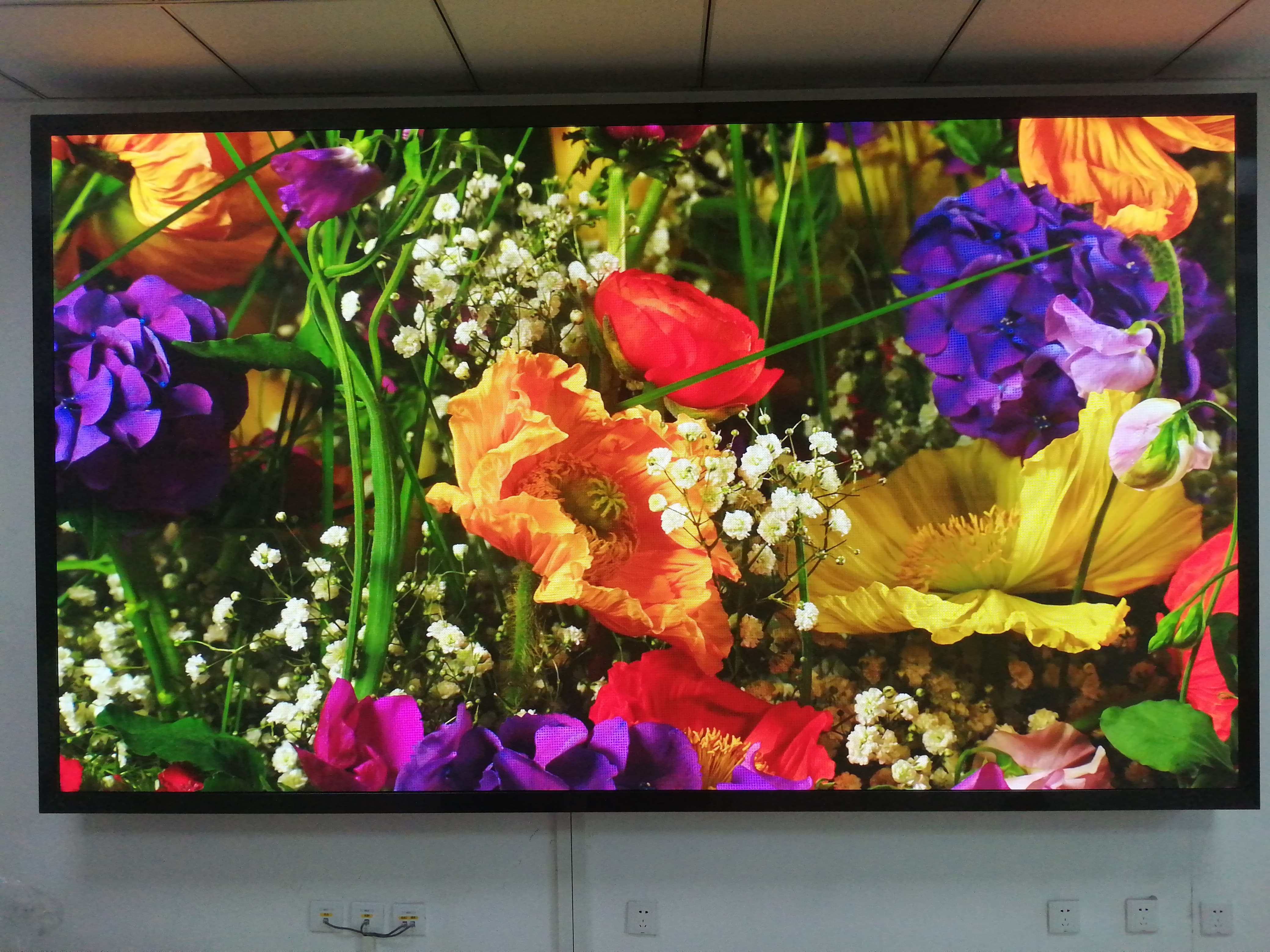 �������ǲ���(�й���)�ٷ���վ